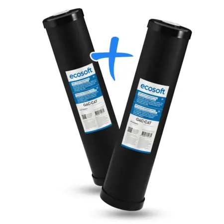Картридж для видалення сірководню Ecosoft 4,5"х20" 2шт. (CRVS24520ECO)